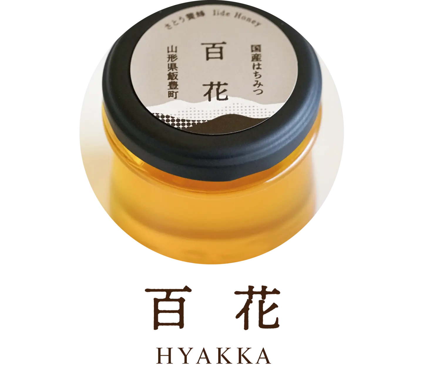 发酵糖浆（姜）袋装115g/At Hand Co., Ltd. 