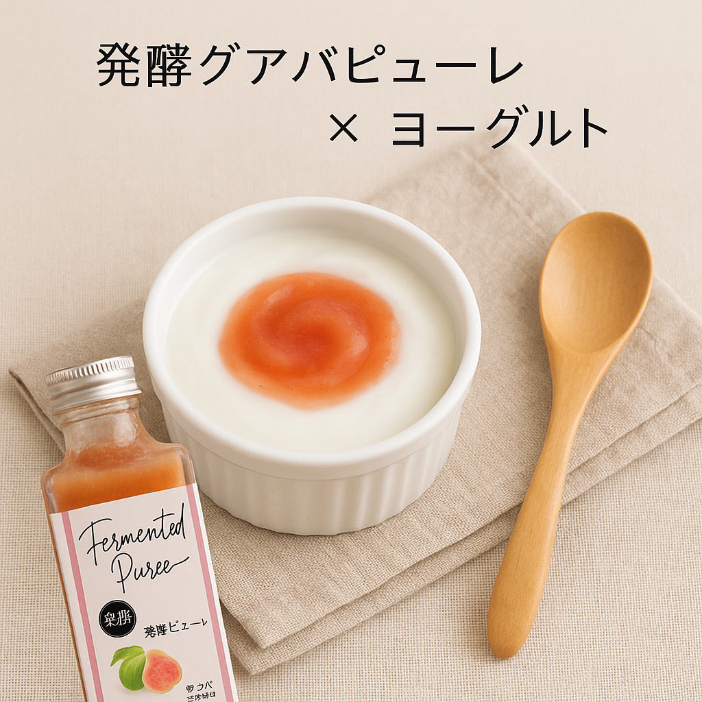 发酵糖浆（姜）瓶350g/At Hand Co., Ltd. 